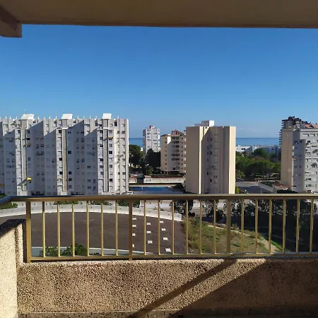 Grao De Gandia 3000
